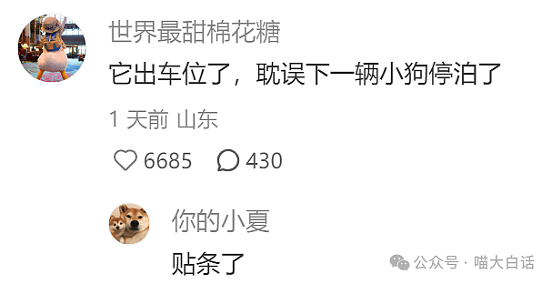 【爆笑】“现在的人能有多抽象？”哈哈哈哈哈这算哪门子行为艺术（组图） - 20
