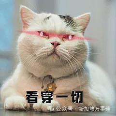 中国小伙接神秘任务：绕飞3国入境新加坡，将14部手机丢垃圾桶！真相竟是…（组图） - 15