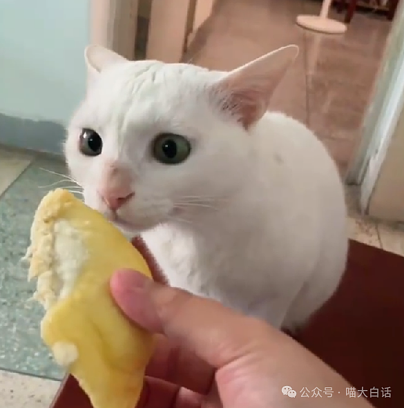 【爆笑】“现在的人能有多抽象？”哈哈哈哈哈这算哪门子行为艺术（组图） - 80