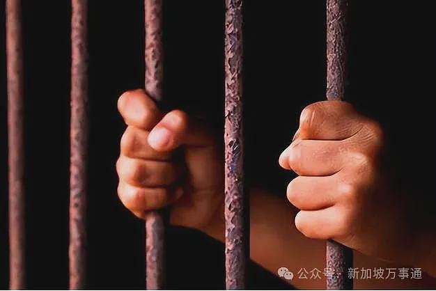 中国小伙接神秘任务：绕飞3国入境新加坡，将14部手机丢垃圾桶！真相竟是…（组图） - 24