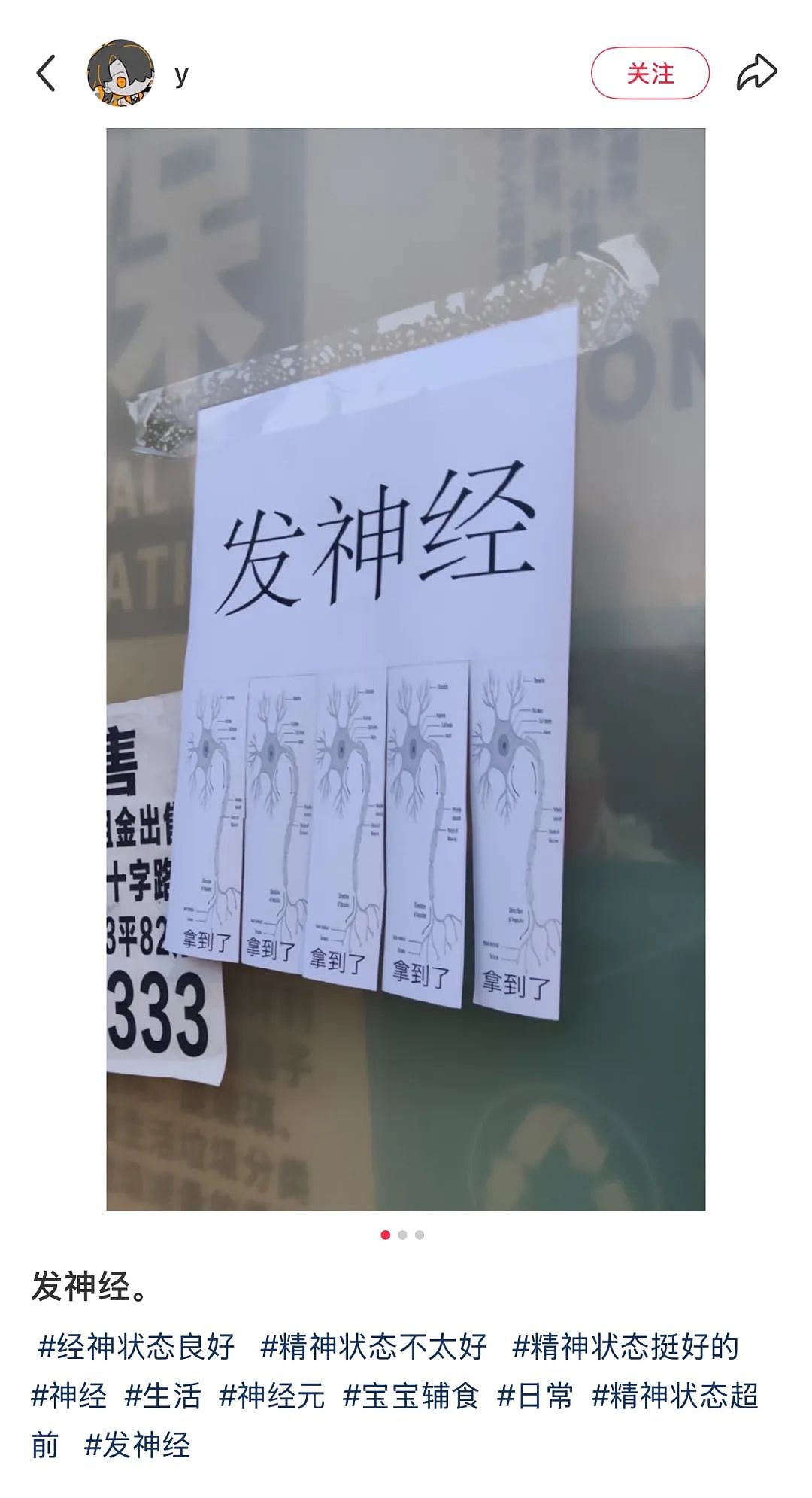 【爆笑】“现在的人能有多抽象？”哈哈哈哈哈这算哪门子行为艺术（组图） - 4