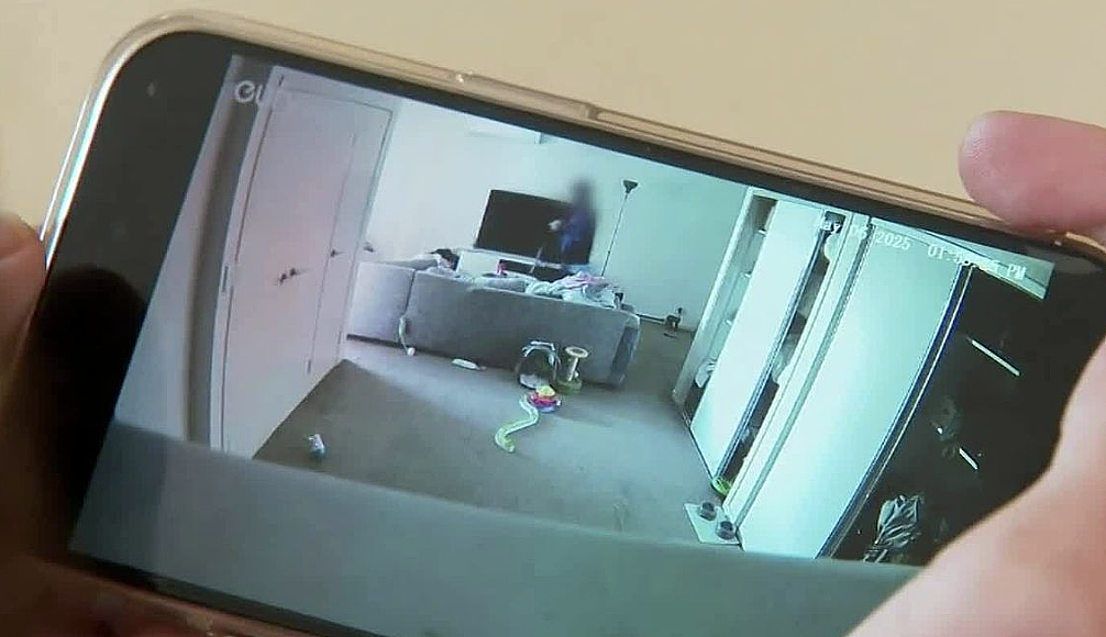 猫咪监控意外拍下昆州入室盗窃案,警方追查两名嫌犯(组图) - 2