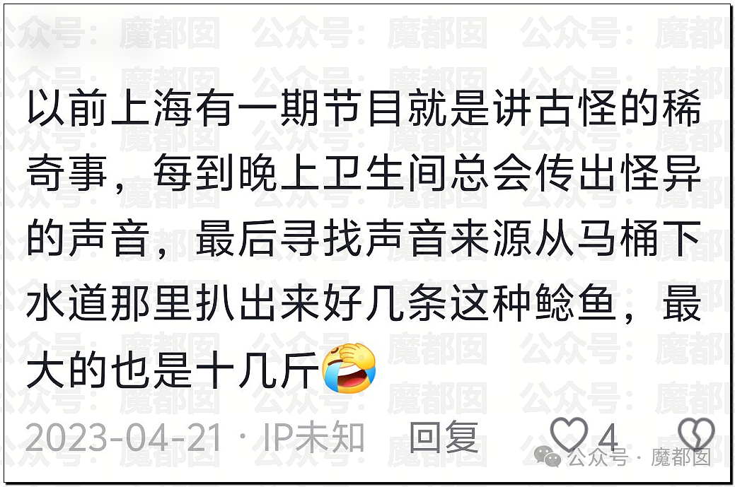 热搜第一!大连西山水库惊现成群超大怪鱼,背后真相更揪心(组图) - 18