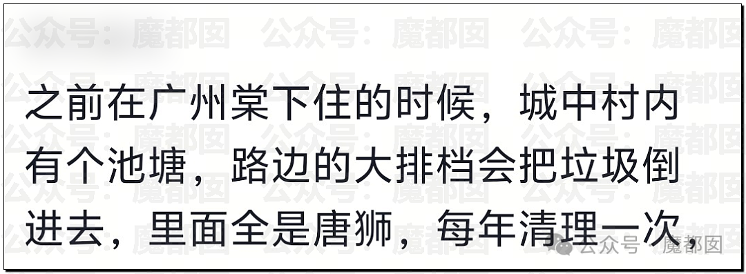 热搜第一!大连西山水库惊现成群超大怪鱼,背后真相更揪心(组图) - 15