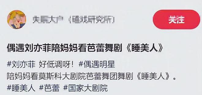明星花式庆母亲节:钟丽缇携三女拍母女大片,刘亦菲陪妈妈看舞剧(组图) - 24