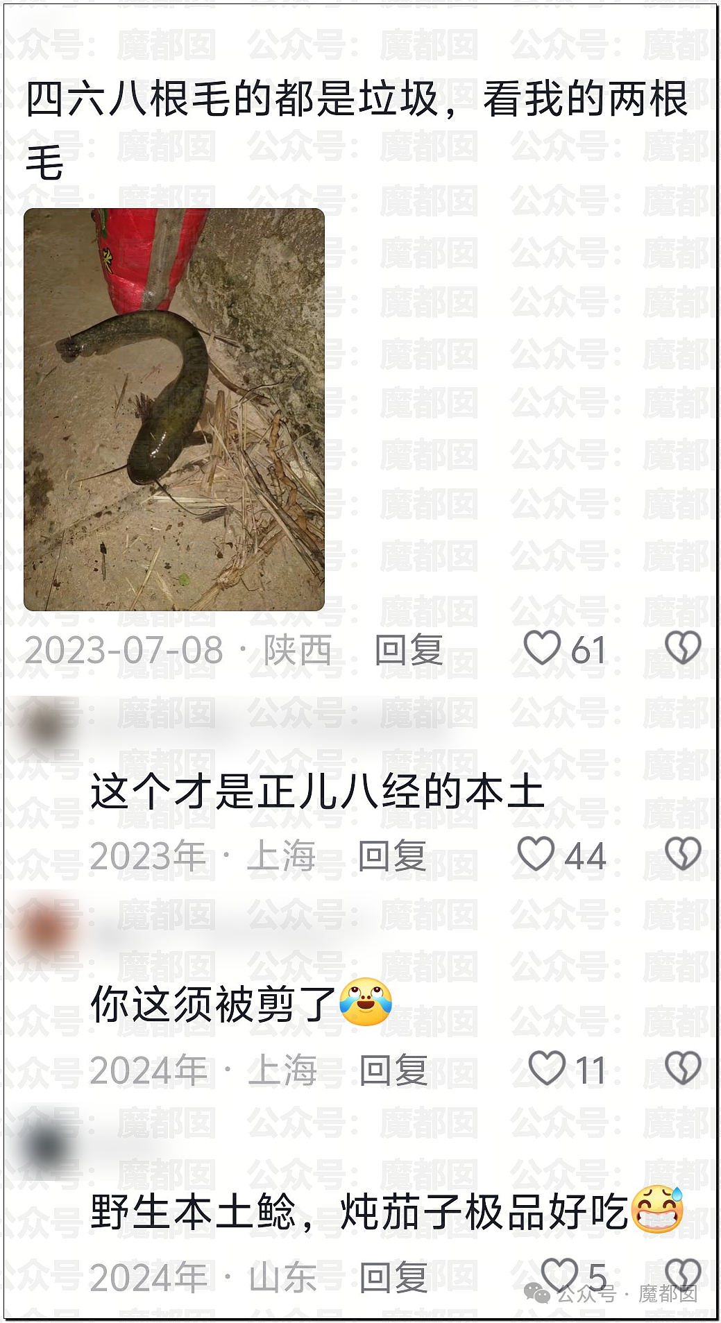 热搜第一!大连西山水库惊现成群超大怪鱼,背后真相更揪心(组图) - 20