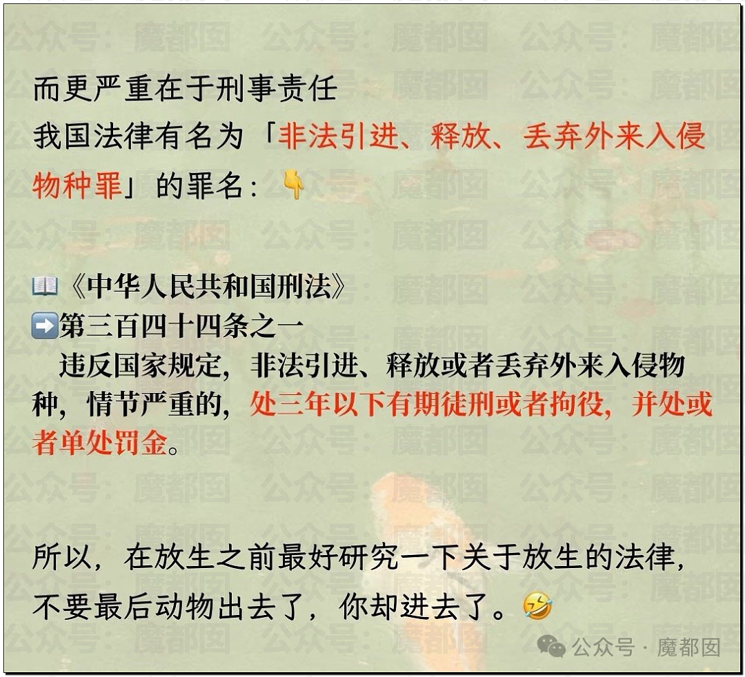 热搜第一!大连西山水库惊现成群超大怪鱼,背后真相更揪心(组图) - 31