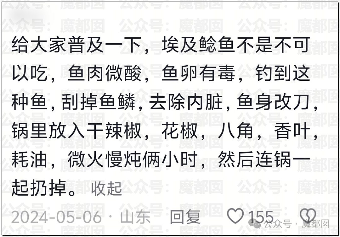 热搜第一!大连西山水库惊现成群超大怪鱼,背后真相更揪心(组图) - 16