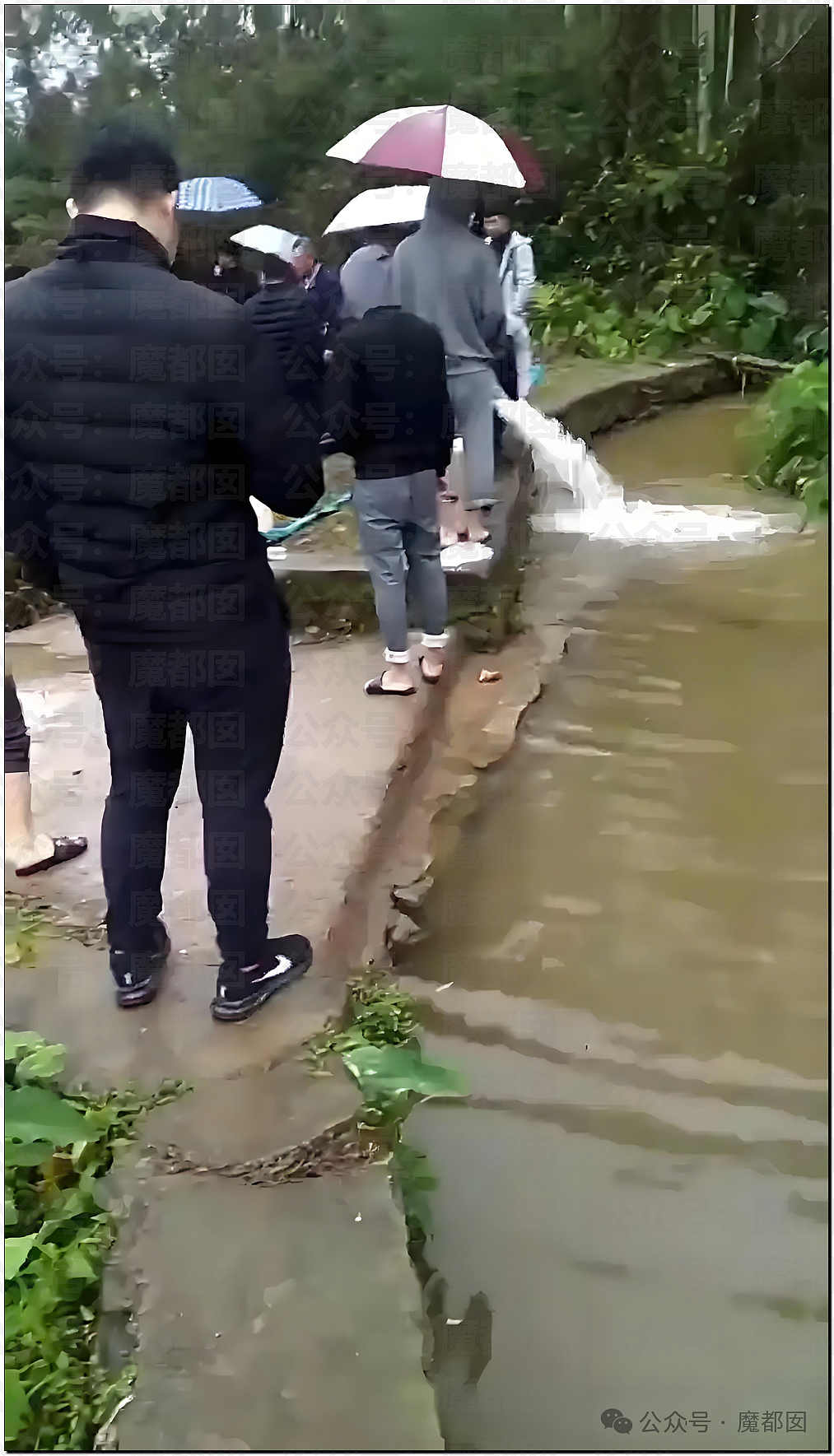热搜第一!大连西山水库惊现成群超大怪鱼,背后真相更揪心(组图) - 28