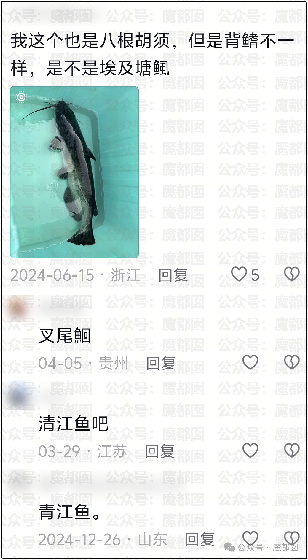 热搜第一!大连西山水库惊现成群超大怪鱼,背后真相更揪心(组图) - 22