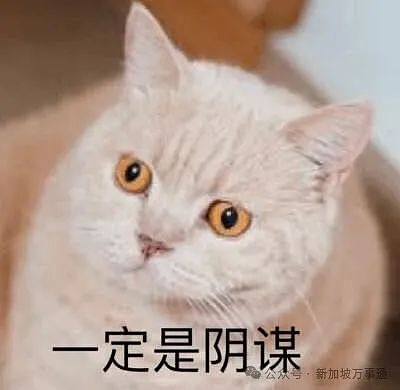 中国小伙接神秘任务：绕飞3国入境新加坡，将14部手机丢垃圾桶！真相竟是…（组图） - 11