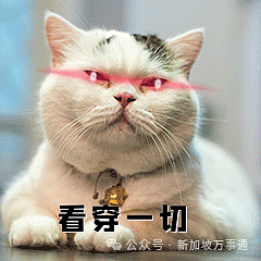 中国小伙接神秘任务：绕飞3国入境新加坡，将14部手机丢垃圾桶！真相竟是…（组图） - 13