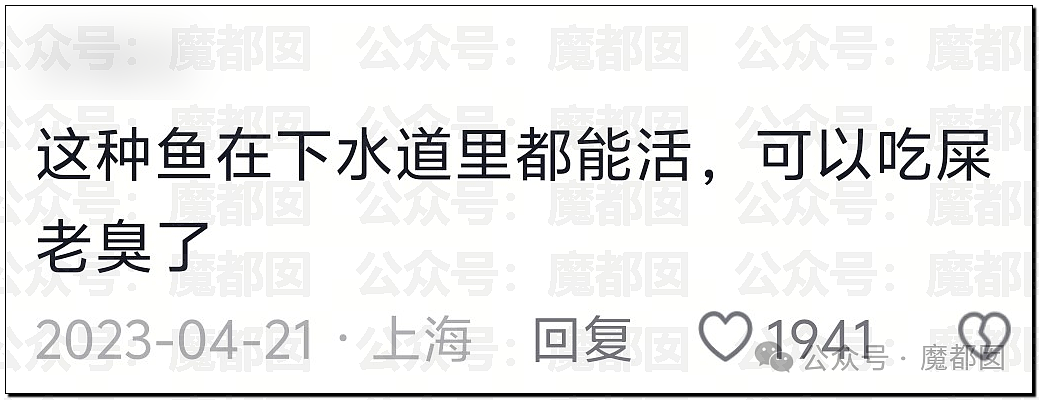 热搜第一!大连西山水库惊现成群超大怪鱼,背后真相更揪心(组图) - 17