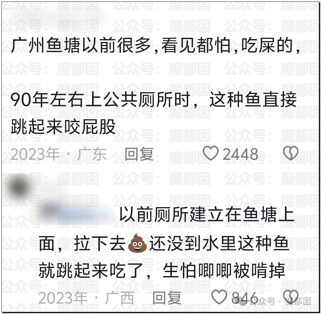 热搜第一!大连西山水库惊现成群超大怪鱼,背后真相更揪心(组图) - 14