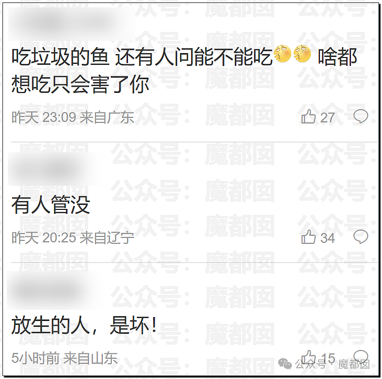 热搜第一!大连西山水库惊现成群超大怪鱼,背后真相更揪心(组图) - 26