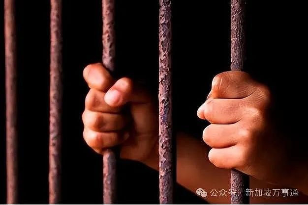 中国小伙接神秘任务：绕飞3国入境新加坡，将14部手机丢垃圾桶！真相竟是…（组图） - 20