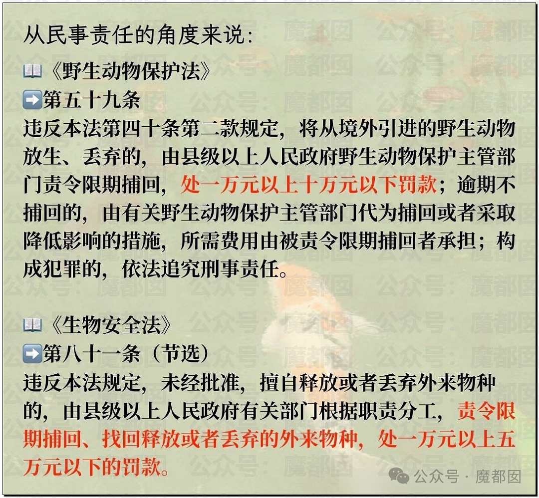 热搜第一!大连西山水库惊现成群超大怪鱼,背后真相更揪心(组图) - 30