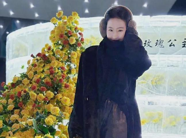 明星花式庆母亲节:钟丽缇携三女拍母女大片,刘亦菲陪妈妈看舞剧(组图) - 27