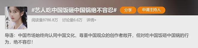 李凯馨凉凉！50家官媒发声痛批其辱华事件：吃中国饭砸中国锅（组图） - 4