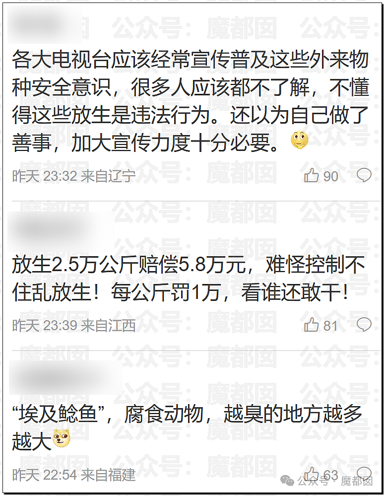 热搜第一!大连西山水库惊现成群超大怪鱼,背后真相更揪心(组图) - 25