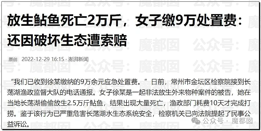 热搜第一!大连西山水库惊现成群超大怪鱼,背后真相更揪心(组图) - 27