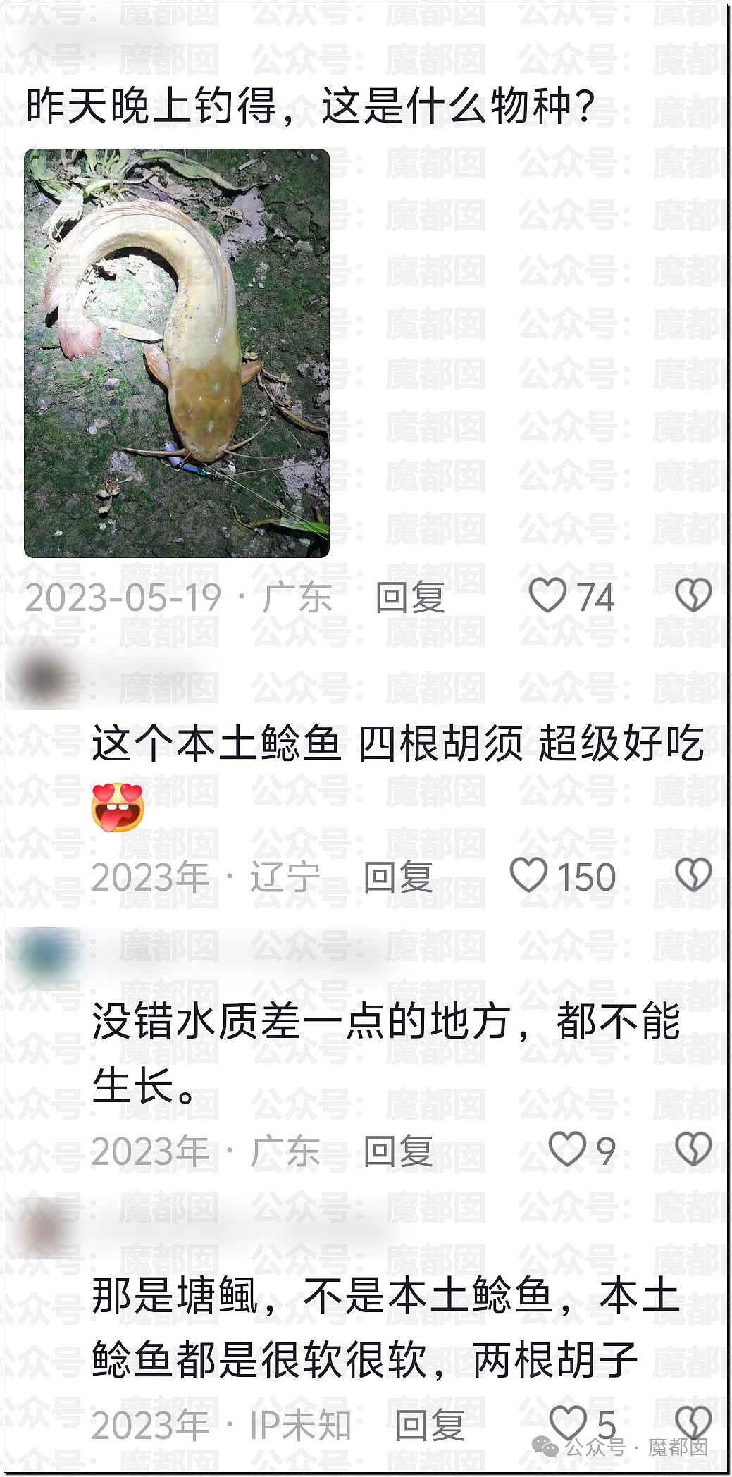 热搜第一!大连西山水库惊现成群超大怪鱼,背后真相更揪心(组图) - 21