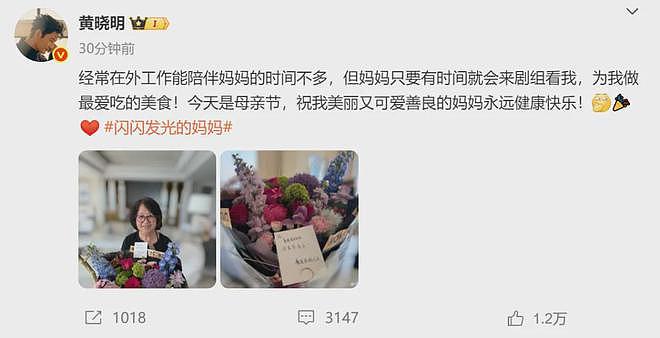 明星花式庆母亲节:钟丽缇携三女拍母女大片,刘亦菲陪妈妈看舞剧(组图) - 3
