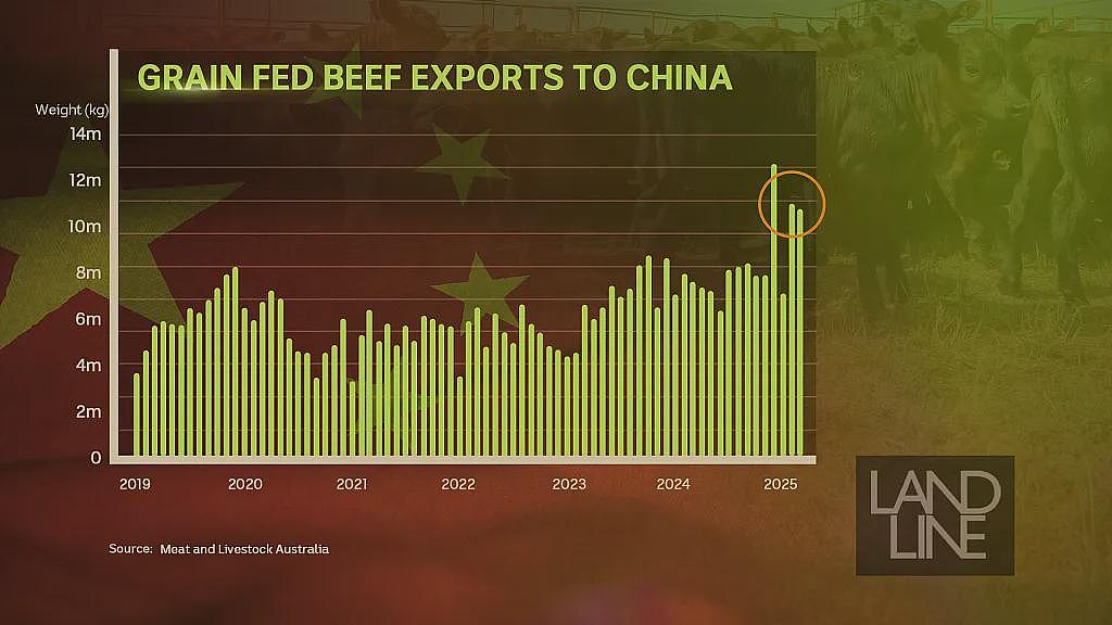 中美关税战惊天反转：澳牛肉杀疯了，美国货架一夜消失！特朗普紧急认怂？（组图） - 2