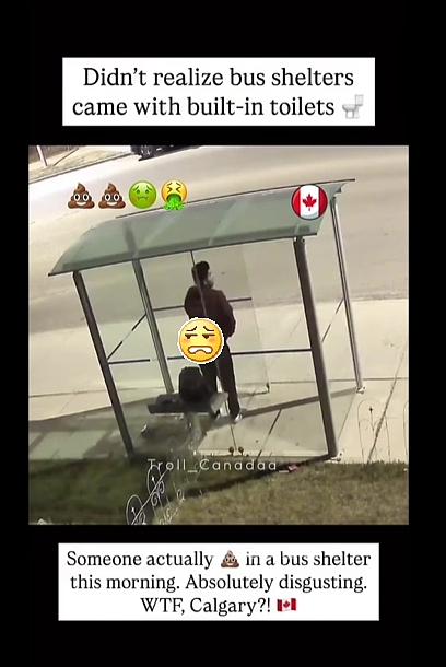 恶心炸裂！加拿大公车站有人当众拉屎，印度人都看不下去了，网友“左手拿纸擦！”（组图） - 2