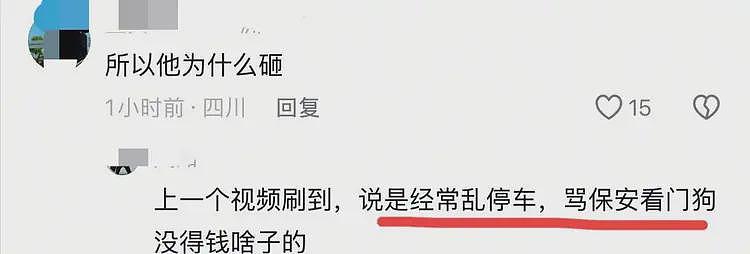 特斯拉车主骂保安是“看门狗”,保安当街怒砸其车,车损已够判刑(组图) - 9