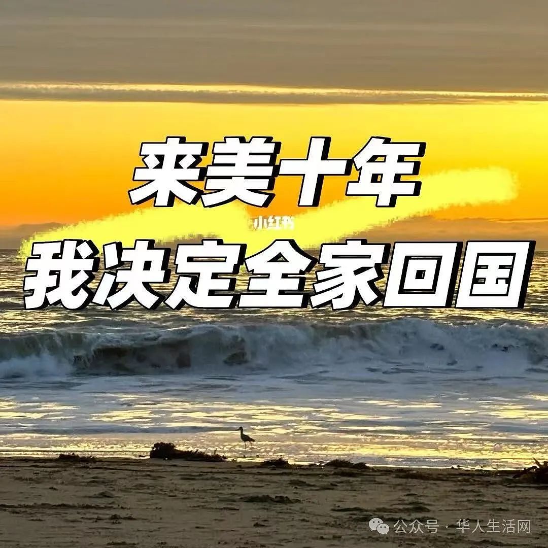 既不像中国人，也不被当做美国人！华裔夫妻赴美10年，曝携女回国真相，引发共鸣（组图） - 1