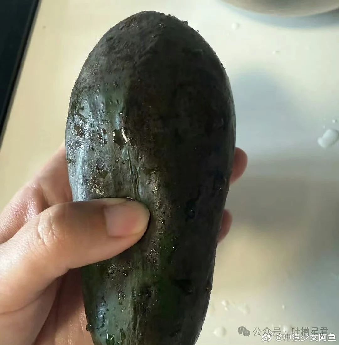 【爆笑】“老公为省钱把百万新房改造成诊所风?”网友:啊啊这家谁敢回啊...(组图) - 35
