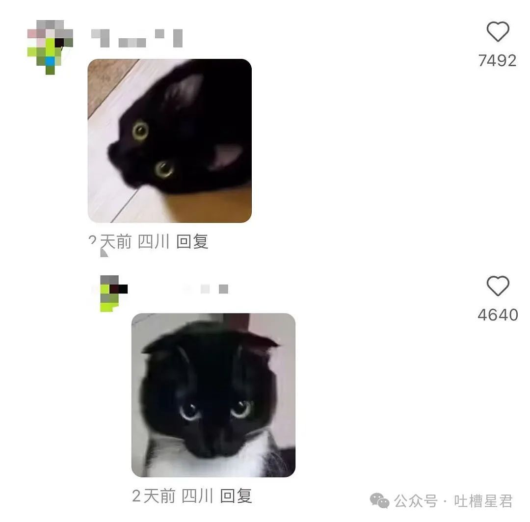 【爆笑】“穿上网购牛仔裤妙龄少女秒变罗圈腿...？”哈哈哈商家笑了三天才发货（组图） - 106
