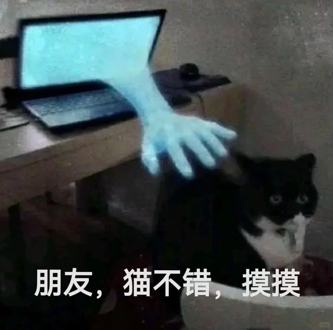 小学5元电子垃圾，在名创优品联名卖200！傻瓜电子宠物机，被买成宇树机器狗的平替？（组图） - 9