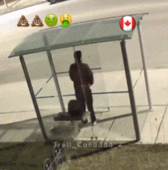 恶心炸裂！加拿大公车站有人当众拉屎，印度人都看不下去了，网友“左手拿纸擦！”（组图） - 5