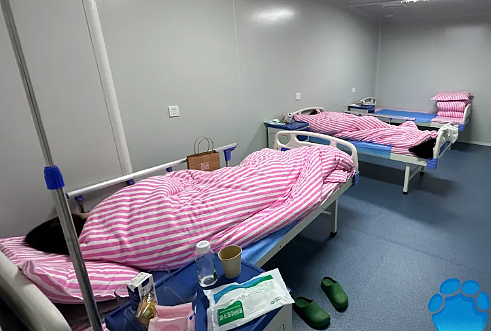 长沙代孕实验室曝光！“代孕者”有聋哑人，举报者曝内部细节：比医院专业（视频/组图） - 2