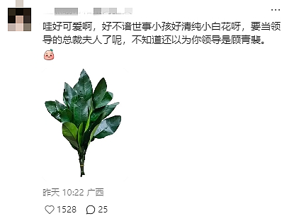 全网群嘲的“炼乳小馒头”事件,暴露出多少悲哀的“新型娇妻”(组图) - 10