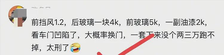 特斯拉车主骂保安是“看门狗”,保安当街怒砸其车,车损已够判刑(组图) - 15