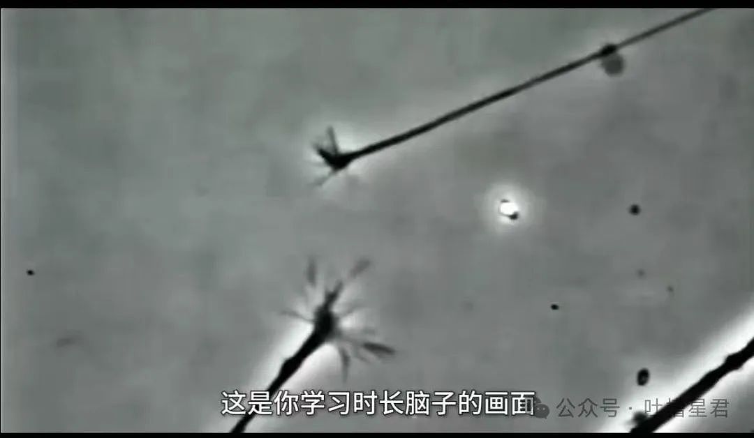 【爆笑】“穿上网购牛仔裤妙龄少女秒变罗圈腿...？”哈哈哈商家笑了三天才发货（组图） - 85
