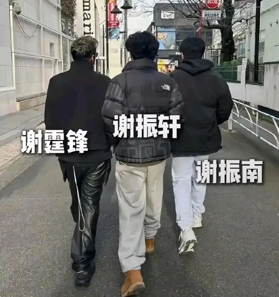 看了谢霆锋父子对张柏芝的评价，才知道谢霆锋为何留10亿给俩儿子（组图） - 4
