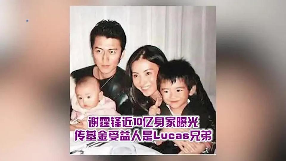 看了谢霆锋父子对张柏芝的评价，才知道谢霆锋为何留10亿给俩儿子（组图） - 18