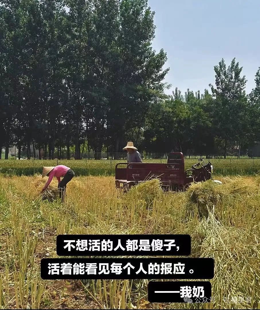 【爆笑】“穿上网购牛仔裤妙龄少女秒变罗圈腿...？”哈哈哈商家笑了三天才发货（组图） - 92
