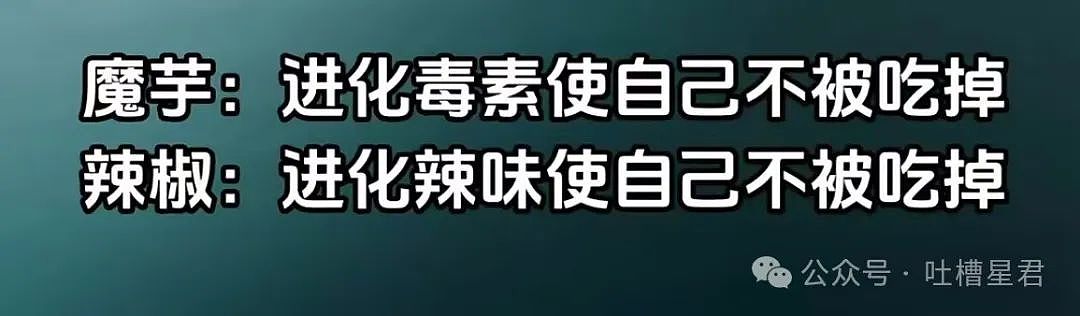 【爆笑】“穿上网购牛仔裤妙龄少女秒变罗圈腿...？”哈哈哈商家笑了三天才发货（组图） - 25