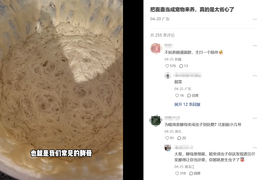 小学5元电子垃圾，在名创优品联名卖200！傻瓜电子宠物机，被买成宇树机器狗的平替？（组图） - 14
