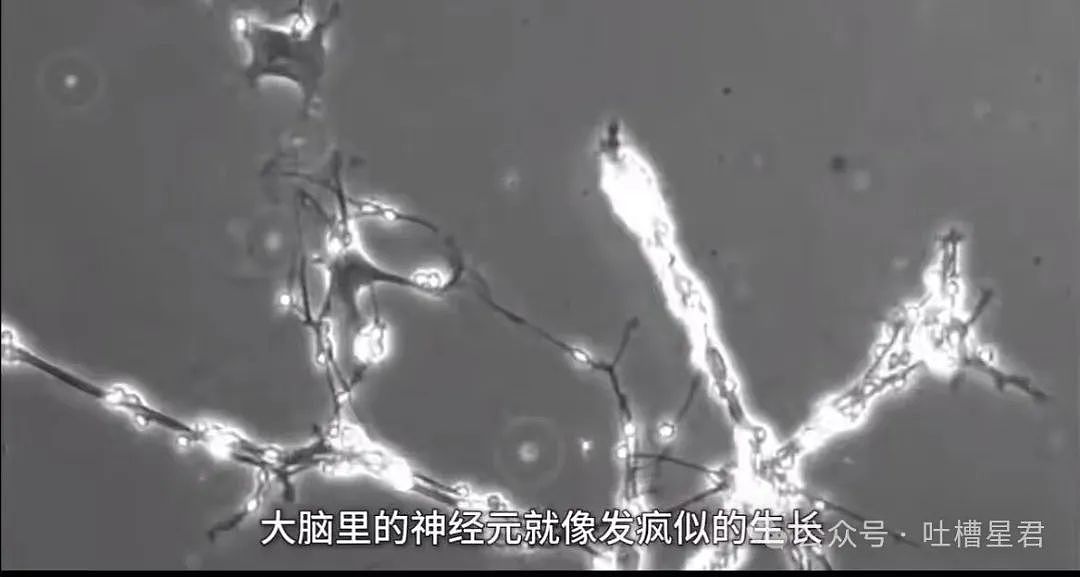 【爆笑】“穿上网购牛仔裤妙龄少女秒变罗圈腿...？”哈哈哈商家笑了三天才发货（组图） - 86