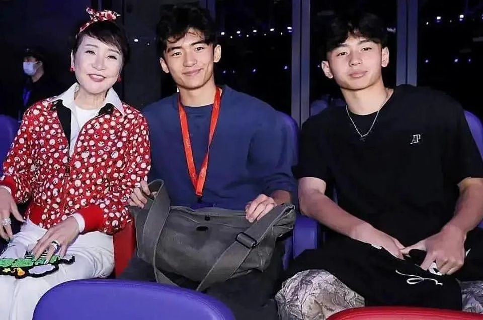 看了谢霆锋父子对张柏芝的评价，才知道谢霆锋为何留10亿给俩儿子（组图） - 2