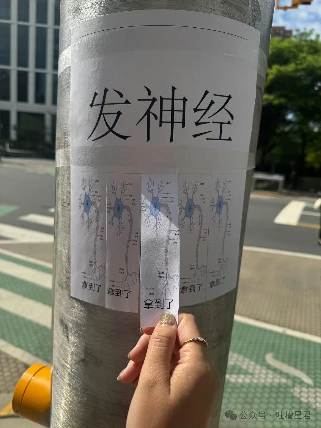 【爆笑】“老公为省钱把百万新房改造成诊所风?”网友:啊啊这家谁敢回啊...(组图) - 44