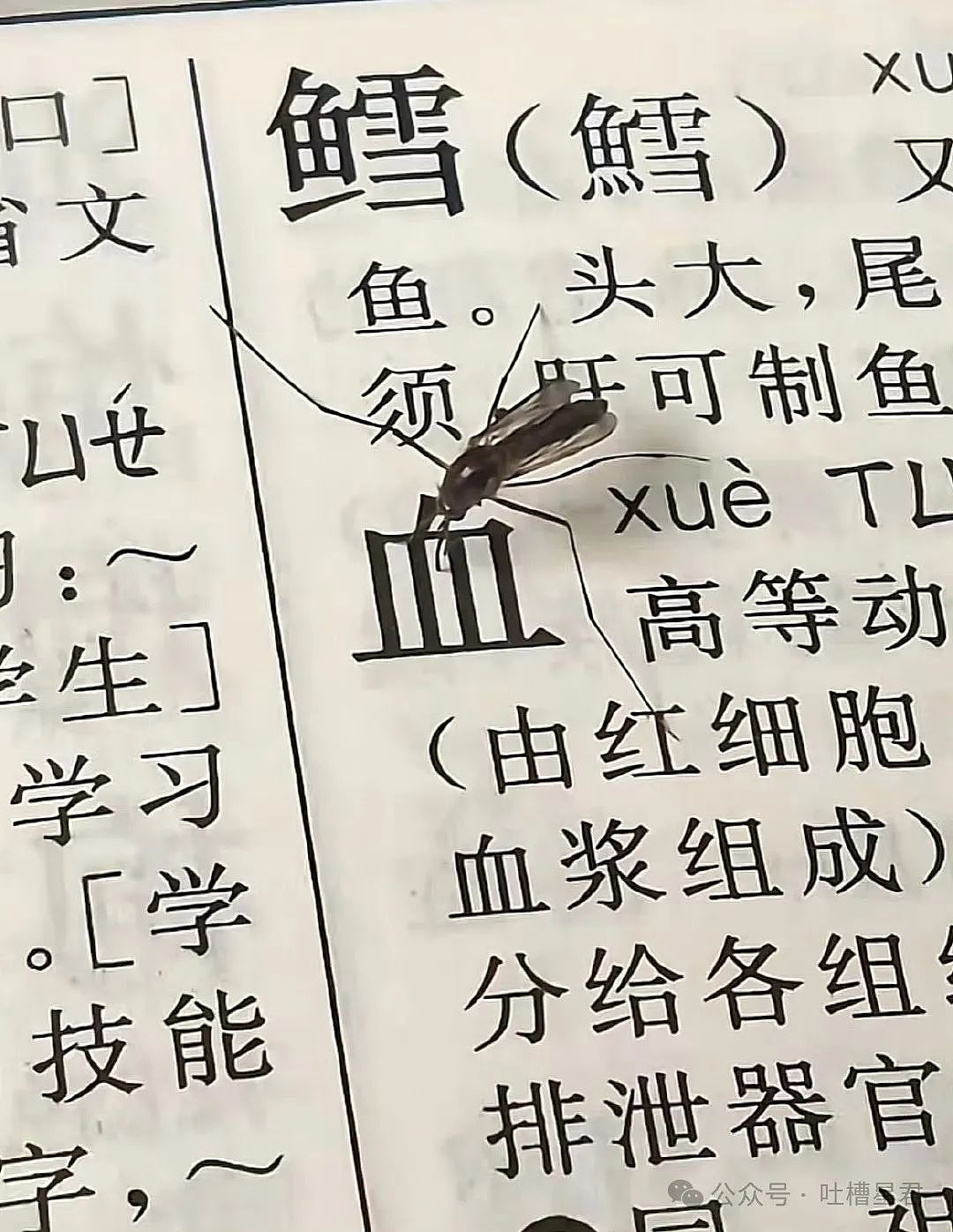 【爆笑】“穿上网购牛仔裤妙龄少女秒变罗圈腿...？”哈哈哈商家笑了三天才发货（组图） - 77
