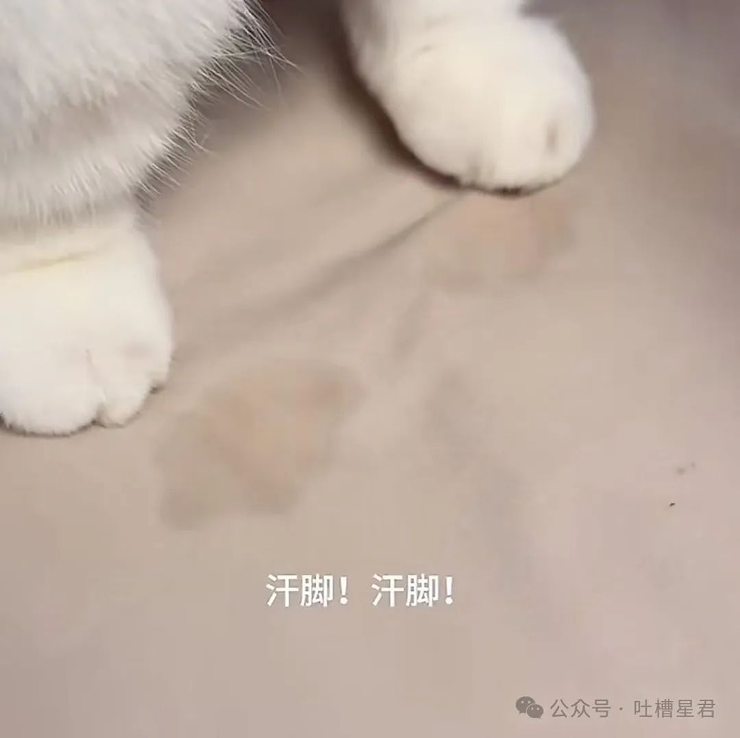 【爆笑】“穿上网购牛仔裤妙龄少女秒变罗圈腿...？”哈哈哈商家笑了三天才发货（组图） - 100