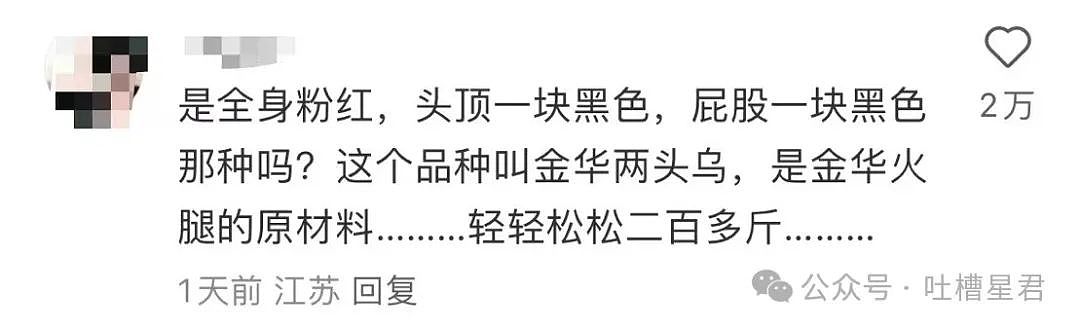 【爆笑】“穿上网购牛仔裤妙龄少女秒变罗圈腿...？”哈哈哈商家笑了三天才发货（组图） - 47
